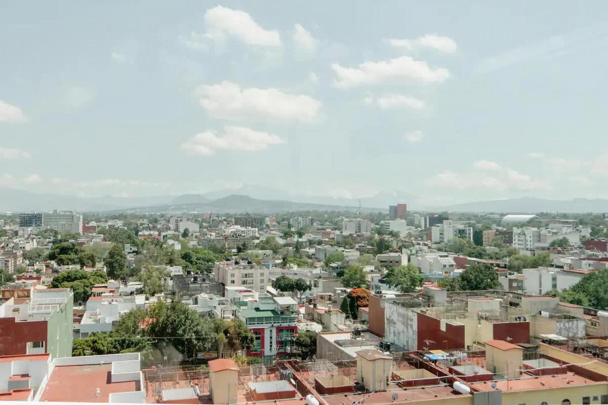 The Jungle Loft Tropical Comfort In A Centric Location With Kitchen Ciudad de México Exteriér fotografie
