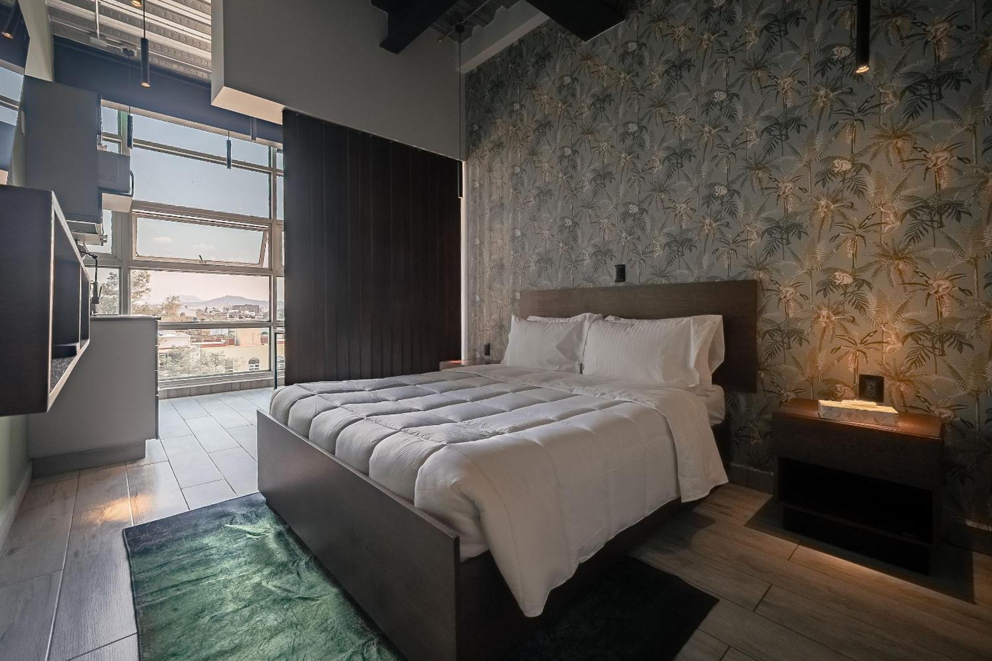 The Jungle Loft Tropical Comfort In A Centric Location With Kitchen Ciudad de México Exteriér fotografie